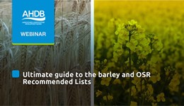 Ultimate guide to the barley & OSR Recommended List